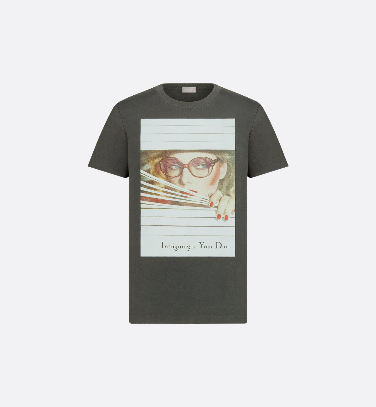 Dior Heritage print T-shirt, regular fit