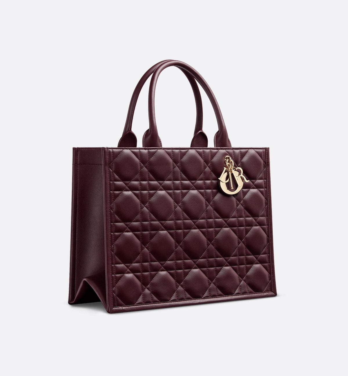 Dior Book Tote Medium Bag