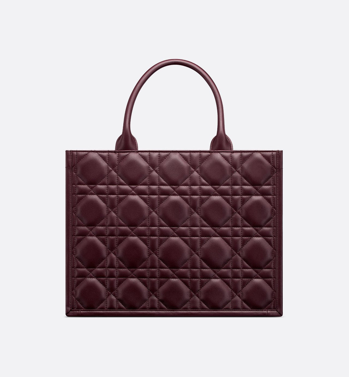 Dior Book Tote Medium Bag