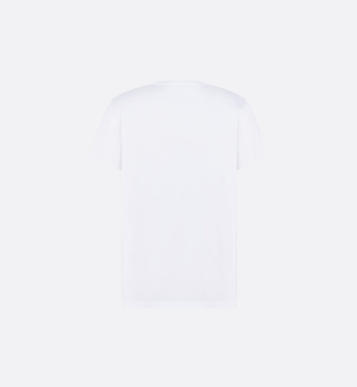 Dior Heritage printed T-shirt, regular fit