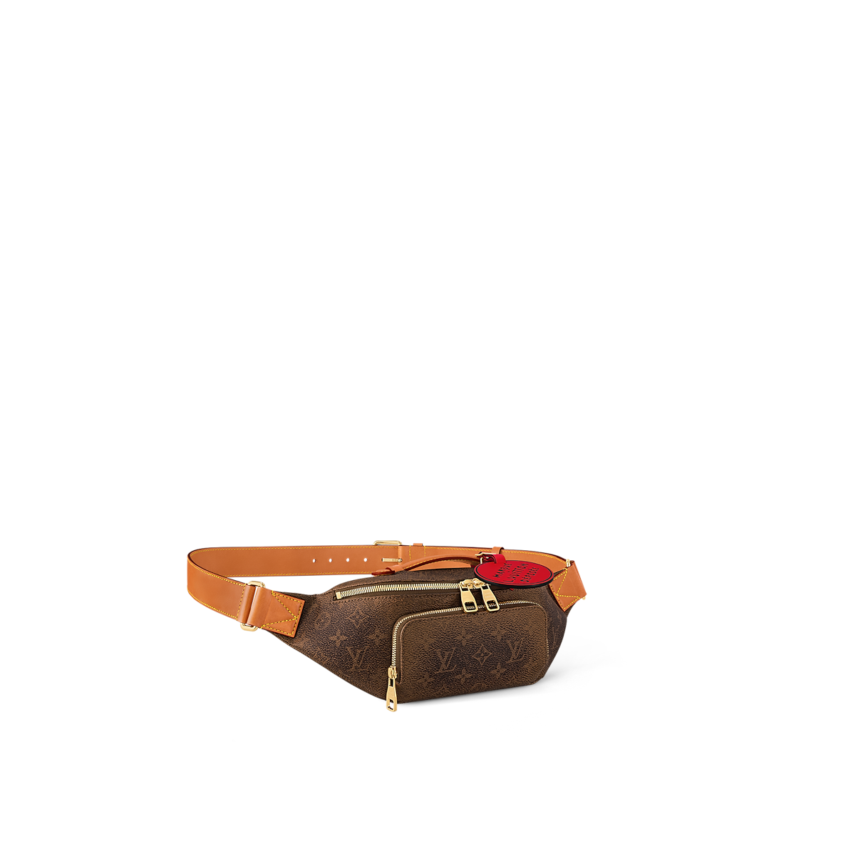 Louis Vuitton Sac ceinture Rush 6