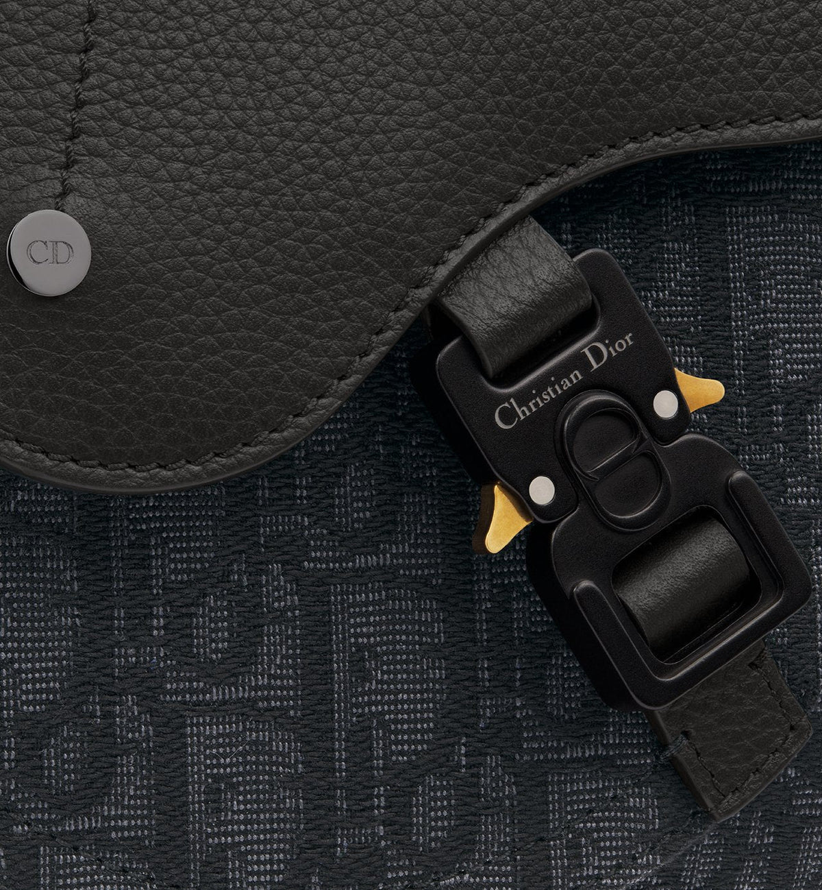 Dior Sac Messenger Saddle 3