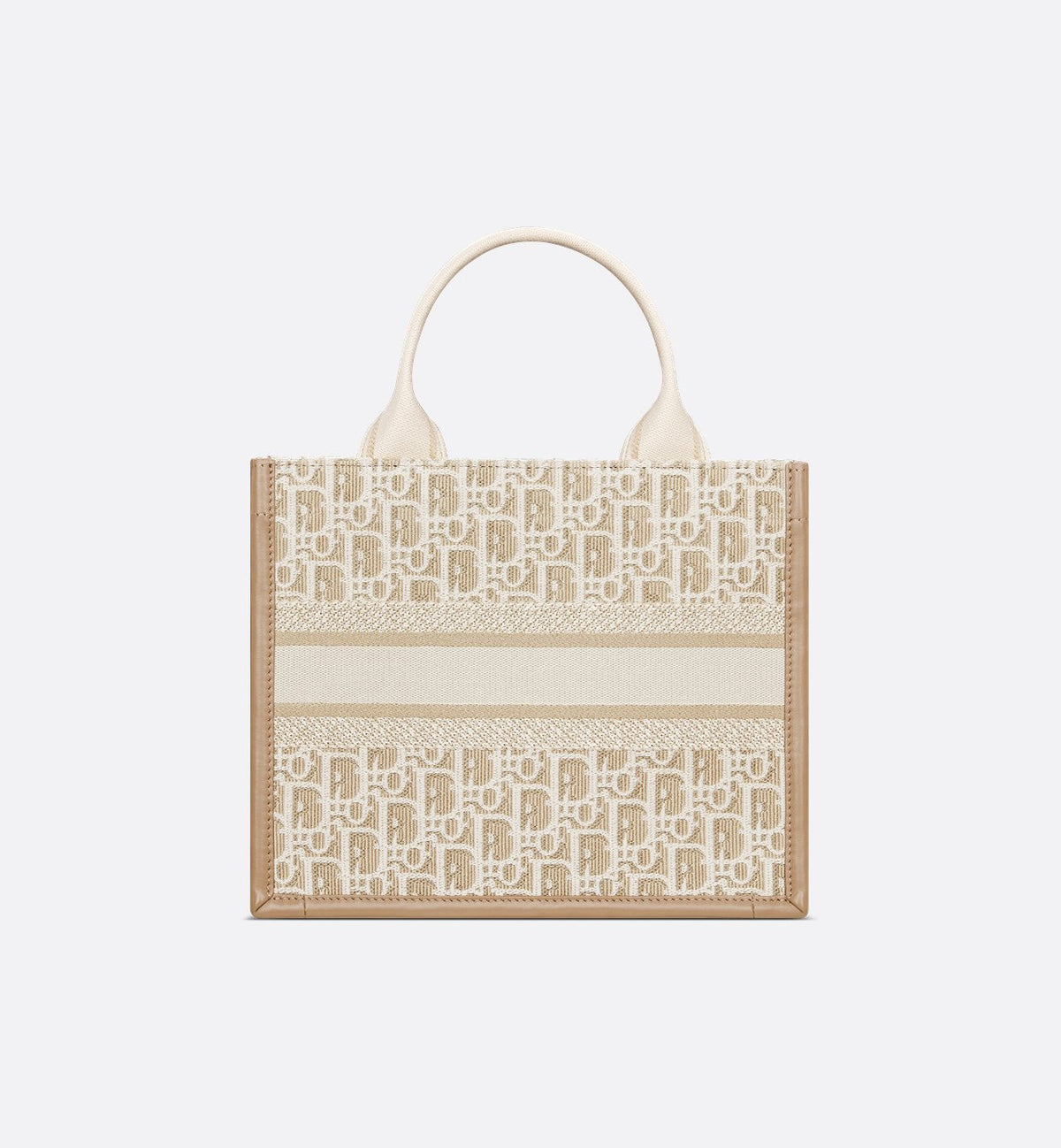 Sac Dior Book Tote Small