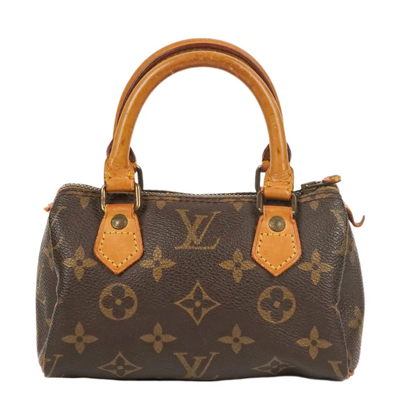 Sac Louis Vuitton Speedy nano