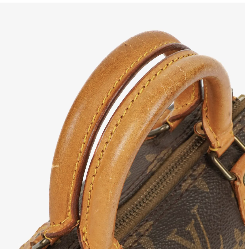 Sac Louis Vuitton Speedy nano