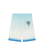 Alebrije Armadillo Silk Shorts