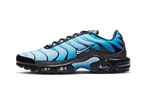 Nike® Air Max Plus Blue Gradient